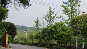 長沙市開福區(qū)沙坪街道漢回村太陽能路燈維修項(xiàng)目
